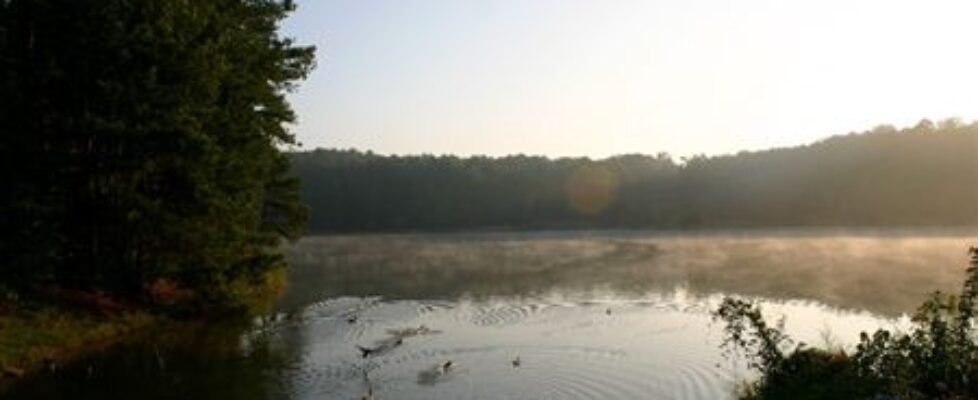 MCP Lake 2