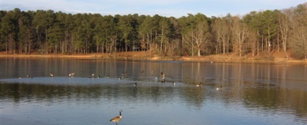 MCP Lake 3