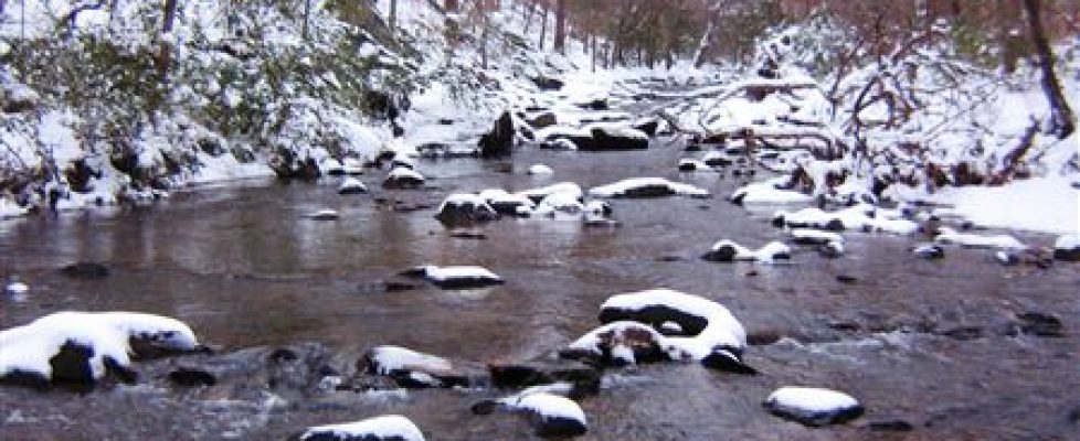 Nancy Creek snow 1