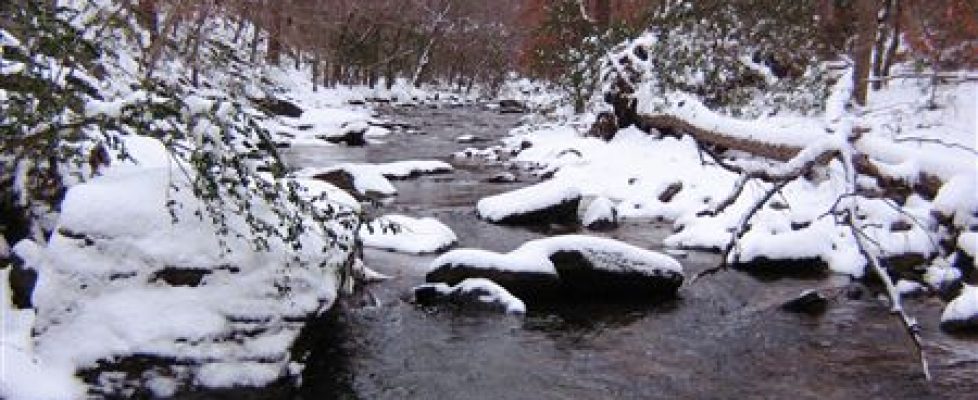 Nancy Creek snow 2
