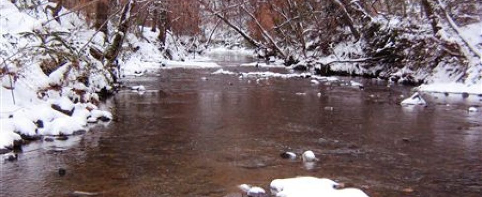Nancy Creek snow 3