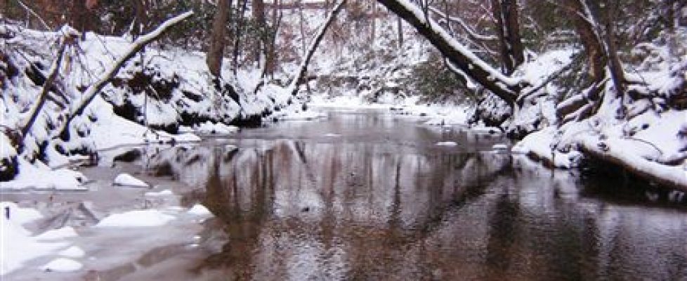 Nancy Creek snow 4