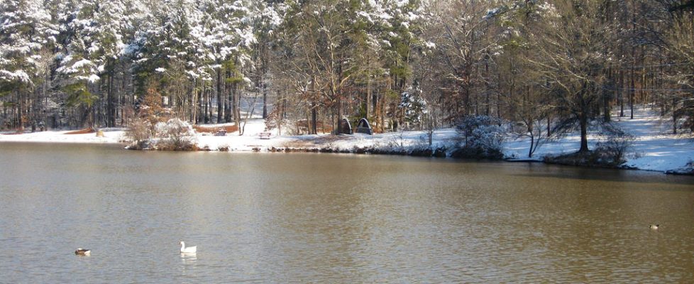022010Sledding and snow in GA! (10)