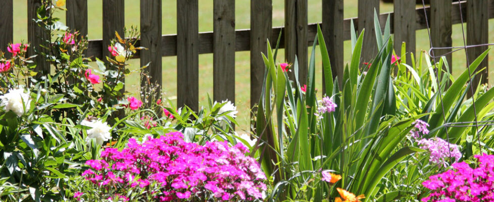 Easter Sunday Church and Lunch at Hamiltons 287