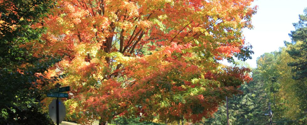 October 2011 2011-10-26