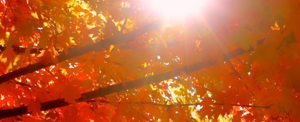 October 2011 2011-10-27